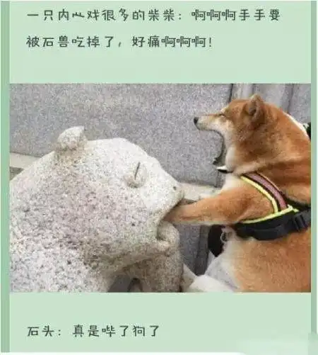 搞笑图片集锦这样真的毫无违和感啊
