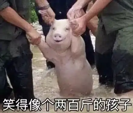 年度表情包大赏小猪佩奇,假笑boy,边缘试探.你最爱
