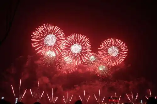 爆竹.烟花的爆炸是物理变化还是化学变化
