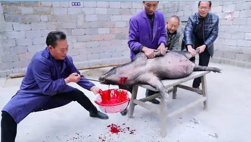 没经历过这事儿,就不叫过年
