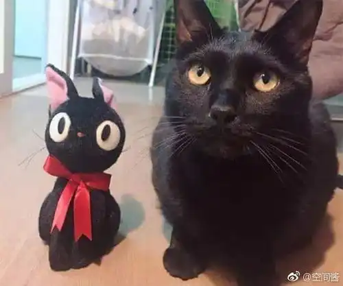 每日吸丨喵星人系列壁纸
