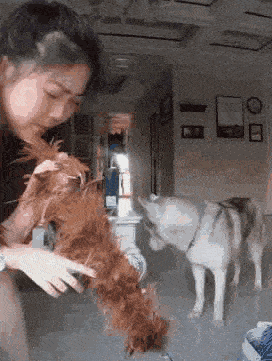 笑不活了,和泼天的富贵擦肩而过,是什么体验,要被评论区笑死了
