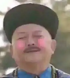 一组铁齿铜牙纪晓岚表情包
