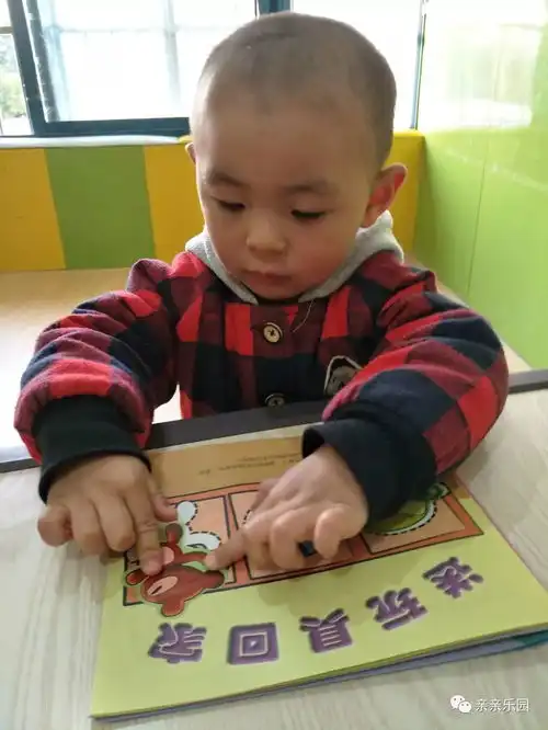 世界那么美,你们最好看
