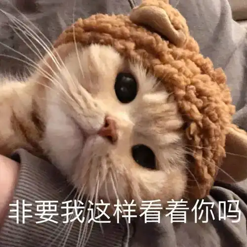 沙雕搞怪表情包姐妹们我来了

