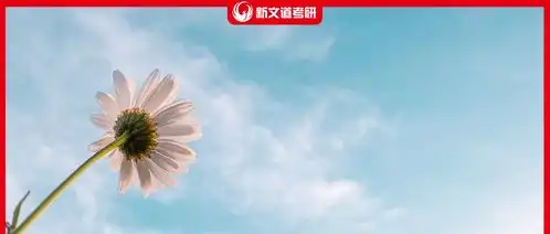 绝了新进一流学科高校盘点
