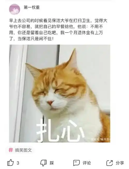 爆笑神回复它爸是哈士奇,它妈妈是吉娃娃,那么它该叫啥
