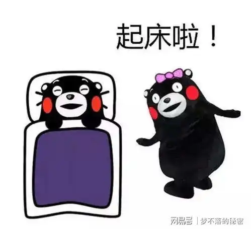 伴圈友好的交流从现在开始

