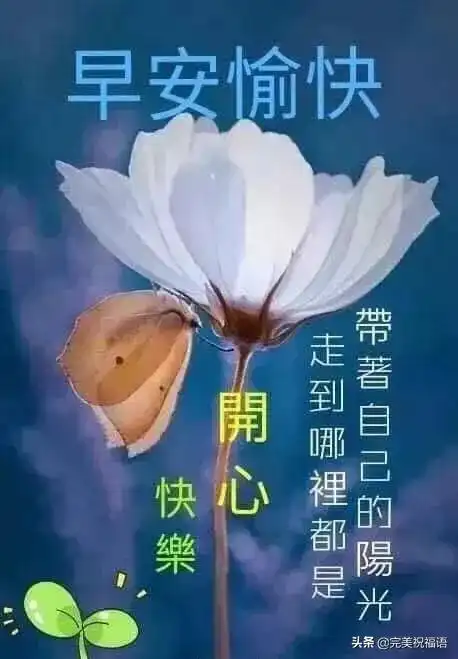 朋友圈最新版早上好问候语图片清新漂亮的早上好表情图片
