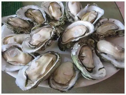 买海鲜,搞清生蚝和牡蛎,区别真大,看完再买不花冤枉钱
