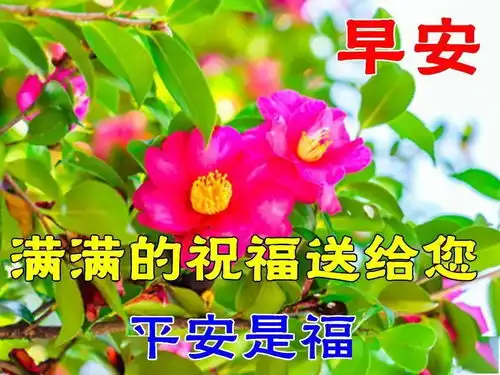 最漂亮早上好动态表情图片大全,早晨好动图美图大全
