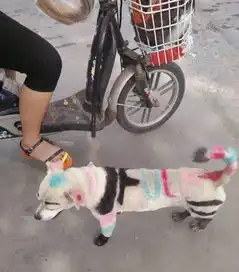 搞笑gif趣图你把我整成这样真的好吗
