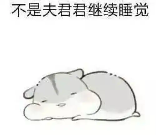 搞笑gif趣图美女,你的头发下面是什么尺寸的脸
