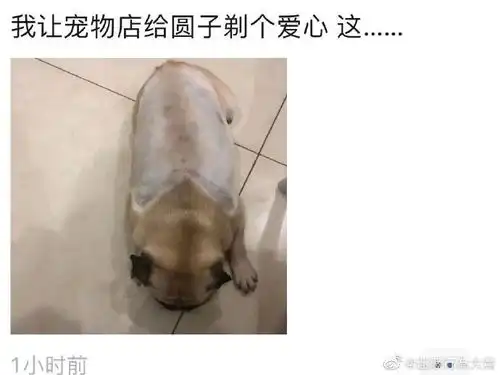 终于明白为什么开锁公司号码都很好了

