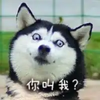 二哈,你值得拥有
