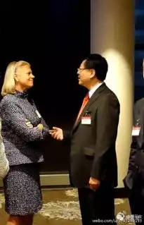 马云张朝阳刘强东们,你们能不能把西装穿好
