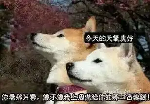字不重要看图冷笑话精选分享身边的爆笑事儿
