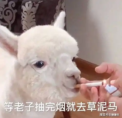 搞笑表情包图片一组莫名其妙表情包图片

