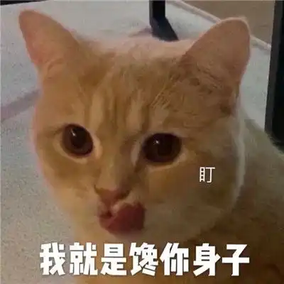 适合谈恋爱发的表情包合集我太馋你的身子了
