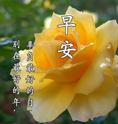 非常漂亮的早上好表情图片早安正能量励志心语
