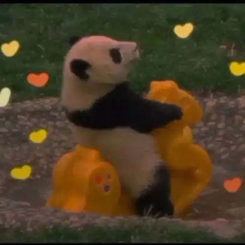 想和你一起逃往快乐星球
