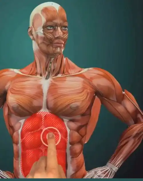 腹肌教学来啦
