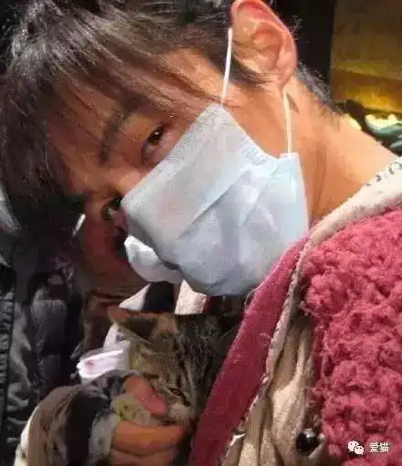 我1米8硬汉,你说我养猫会变娘
