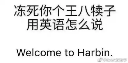 有哪些差点让人笑死的搞笑图片推荐
