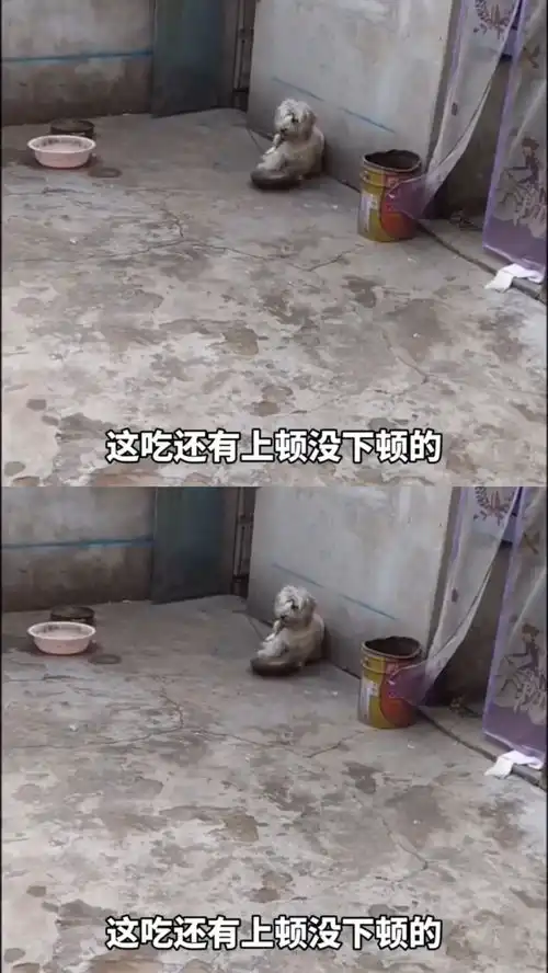 爆笑配音,干饭魂的传统呀
