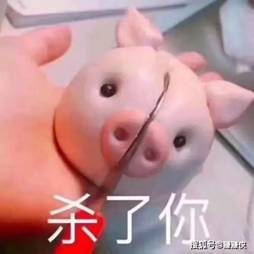 沙雕表情包图片那你告诉我怎么才能不沙雕

