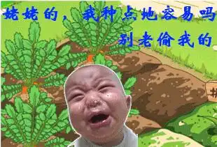 征集世界最搞笑的图片

