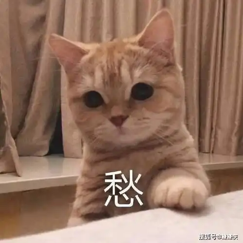 搞笑表情包图片让他看清自己,照妖镜
