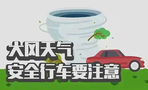 中卫阵风雨又来了
