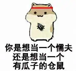 那些不发朋友圈不换头像的姑娘,究竟要不要去追
