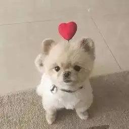 汽车底盘养护有必要吗该怎么做
