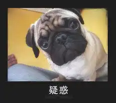 超级可爱的动物搞笑图片
