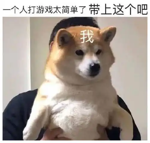 搞笑趣图段子妹子怎么编的辫子

