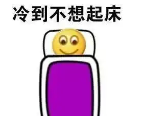 必须签收绵阳人没买的强冷空气到货比你的双11快递先到
