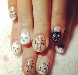 猫咪元素无...愉小安minatop
