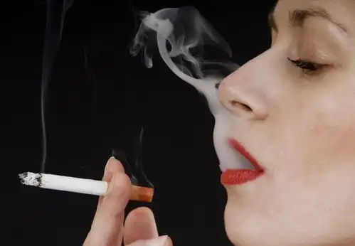 心跳快慢和寿命有关系吗研究给出了数据,一起来了解下
