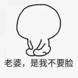 扑通跪下我错了表情包
