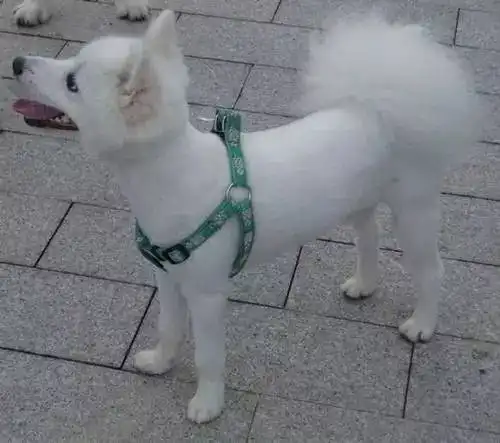 热死了这天解暑了解一下
