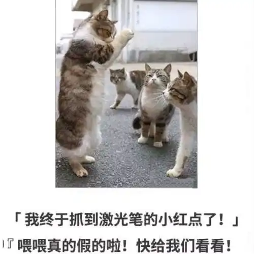 搞笑趣图当我网速测试时我的网速vs我打游戏时我的网速
