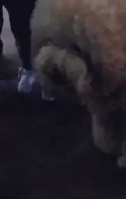 搞笑gif趣图好尴尬,后面的妹子已经不忍直视了
