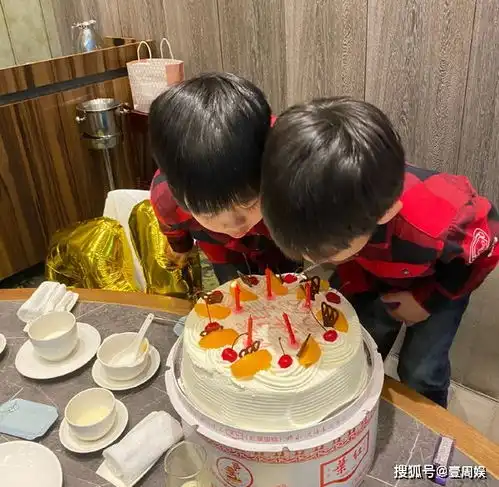 林志颖为双胞胎儿子庆生,浓眉大眼超可爱,蛋糕却成为了亮点
