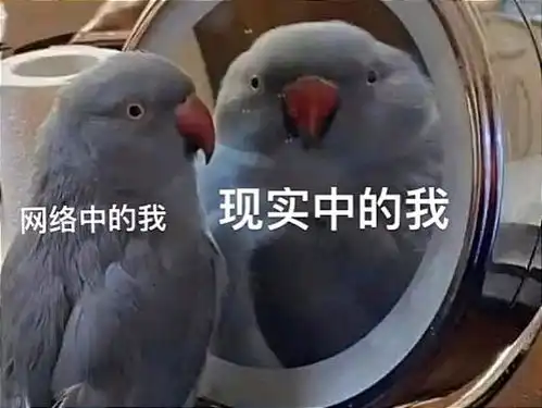 搞笑趣图网络中的我vs现实中的我
