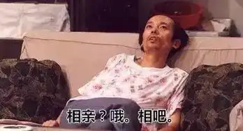搞笑神段奇葩的相亲经历
