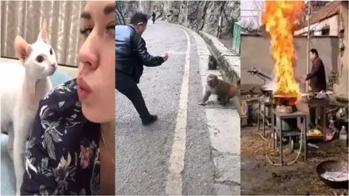 搞笑配音年轻人遇事不要慌,大爷我先尝尝这火焰汤
