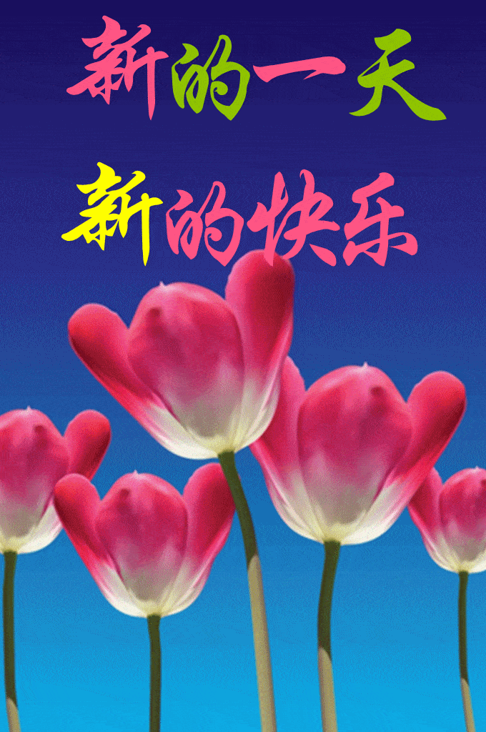 早安祝福美图早上好问候句子朋友
