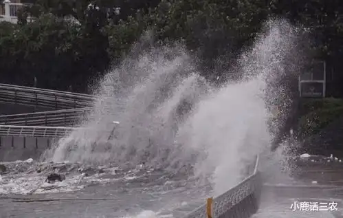 明天7号天气预报,新一轮强冷空气带来大雨暴雨分布下列地区
